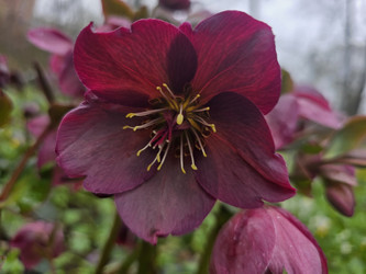 Similar image 22641807
