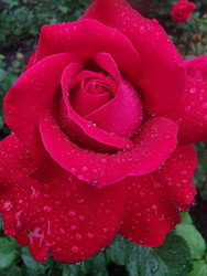 Similar image 22641809