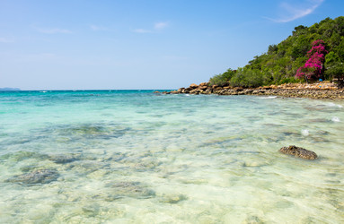 Similar image 22644344