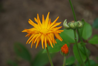 Similar image 22642657