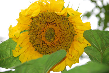 Similar image 22642658