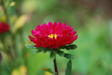Similar image 22642659