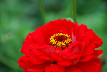 Similar image 22642660