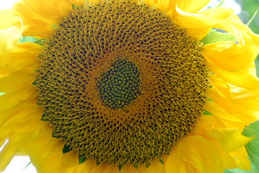 Similar image 22642662