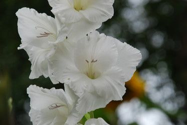 Similar image 22642663