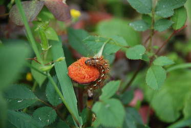 Similar image 22642665