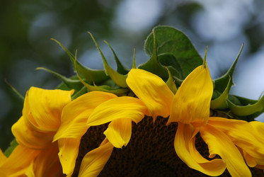 Similar image 22642666
