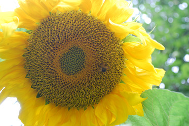 Similar image 22642667