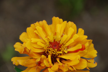 Similar image 22642669
