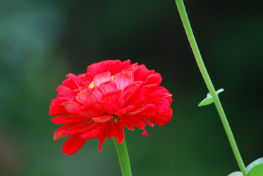 Similar image 22642674