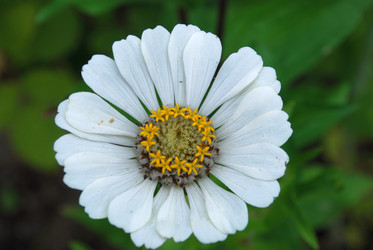 Similar image 22642675