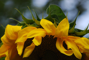 Similar image 22642677