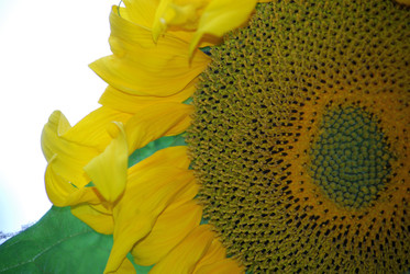 Similar image 22642678