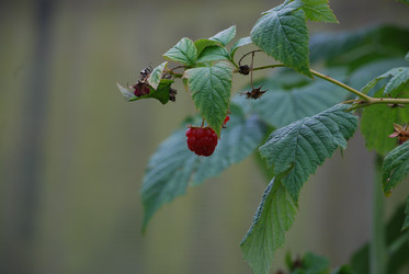 Similar image 22642679