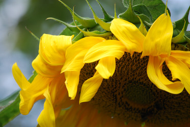 Similar image 22642683