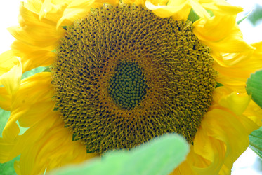 Similar image 22642688