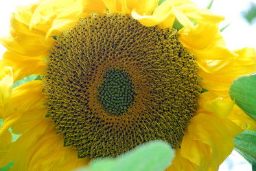 Similar image 22642689