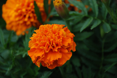 Similar image 22642692