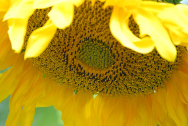 Similar image 22642694