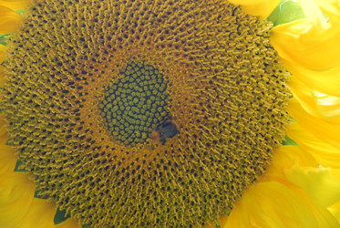 Similar image 22642695