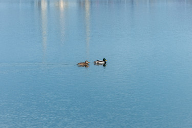 Similar image 22642508