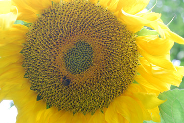 Similar image 22642699