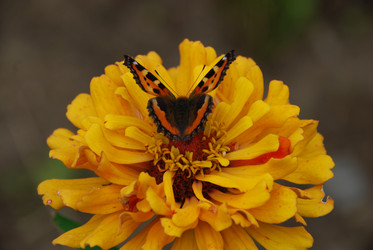 Similar image 22642700