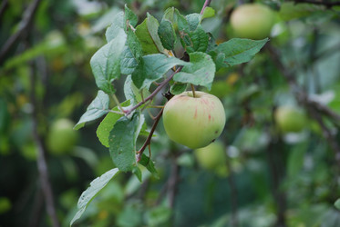 Similar image 22642701