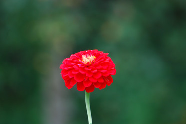 Similar image 22642702