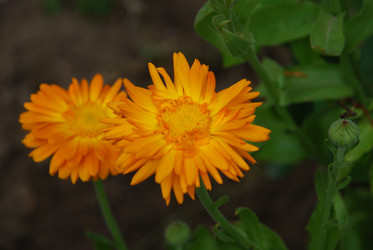 Similar image 22642704