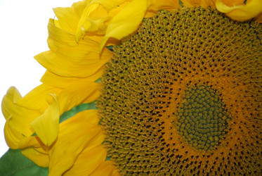 Similar image 22642707