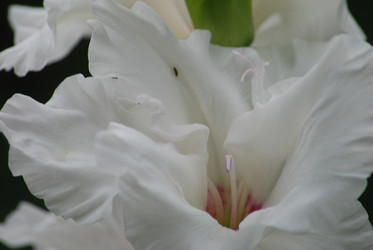 Similar image 22642708