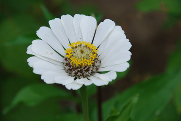 Similar image 22642709