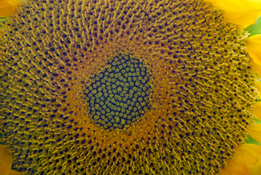 Similar image 22642710