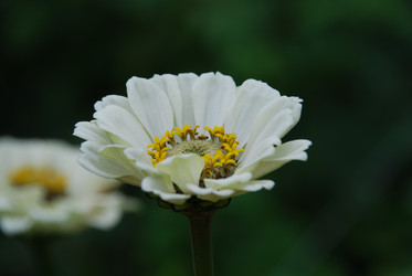 Similar image 22642713