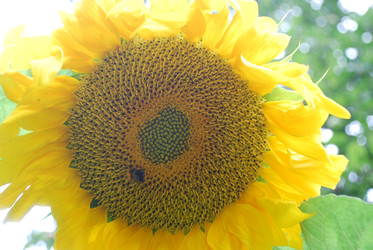 Similar image 22642715