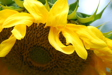 Similar image 22642717