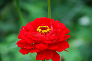 Similar image 22642719