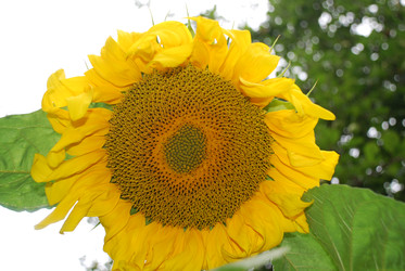 Similar image 22642722