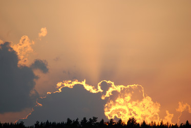 Similar image 22642726