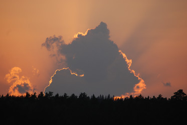 Similar image 22642730