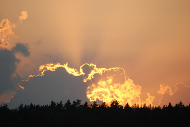Similar image 22642737