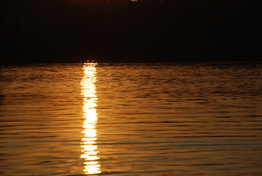 Similar image 22642738