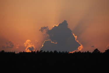 Similar image 22642753