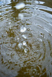 Similar image 22642530