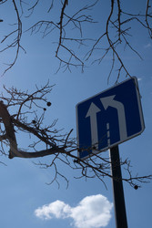 Similar image 22641796