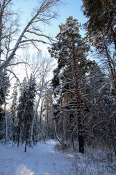 Similar image 22641879
