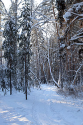 Similar image 22641880