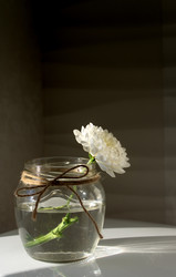 Similar image 22641832