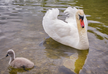 Similar image 22643920